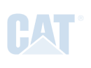 cat 1