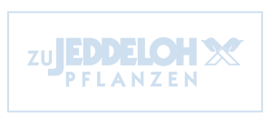 jeddeloh 1